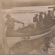 Netting the Whale – #184