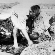 After the Brush – Pohutukawa, Seaweed & Oysters – #136